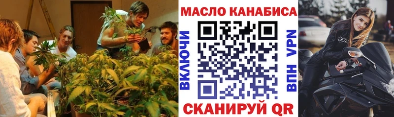 Купить закладки  Светлый  ТГК THC oil 