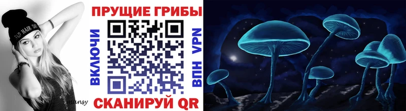 Псилоцибиновые грибы Magic Shrooms  Купить закладки  Светлый 